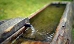 Oxidane, water treatment company, ONCE, safe drinking water for all